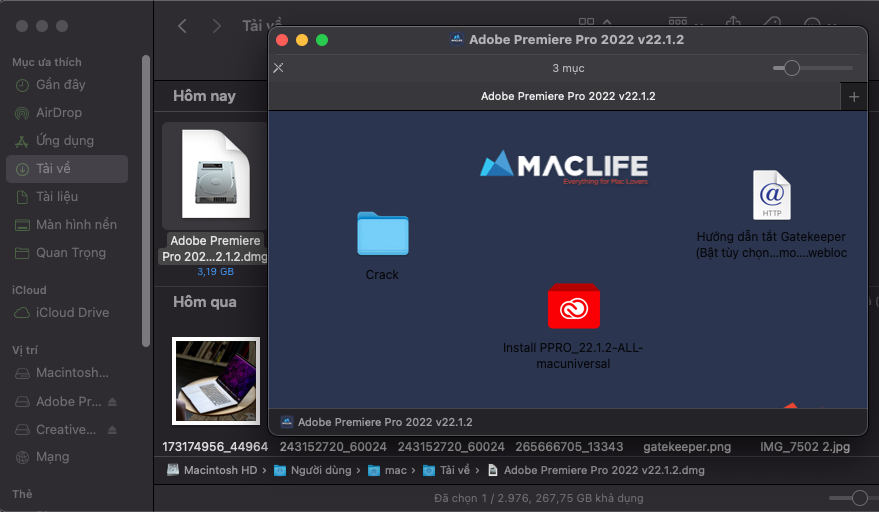 Cài file Adobe
