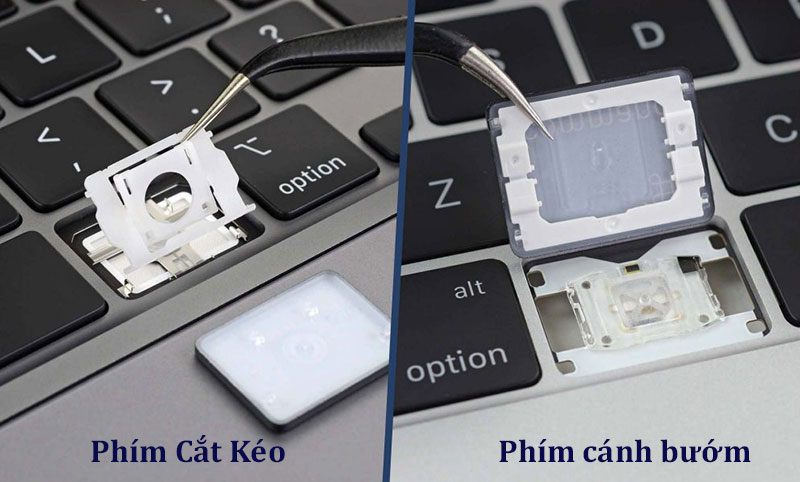Bàn phím cánh bướm vs Bàn phím cắt kéo
